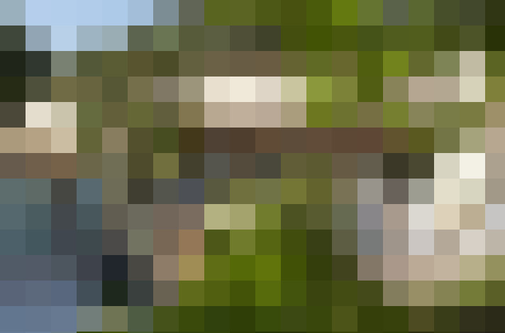  / #12