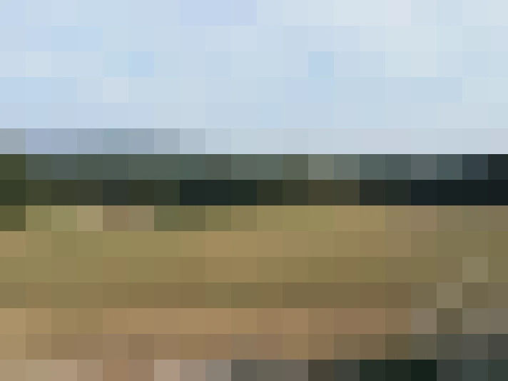  / #9