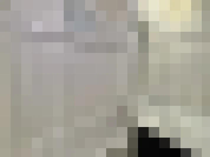  / #11