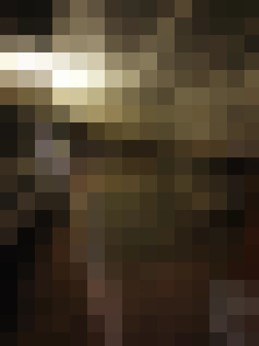  / #14