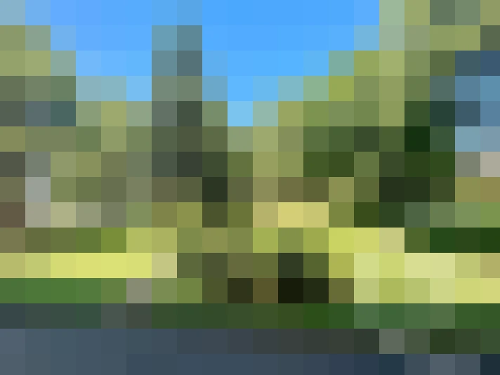  / #9