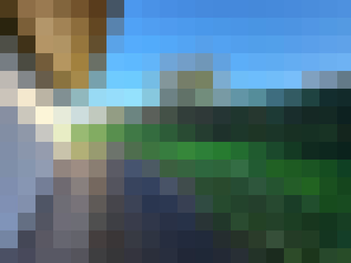  / #6