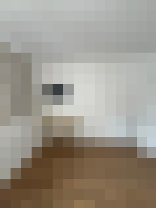  / #17
