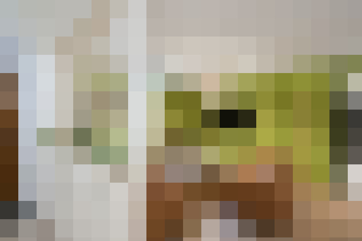  / #17