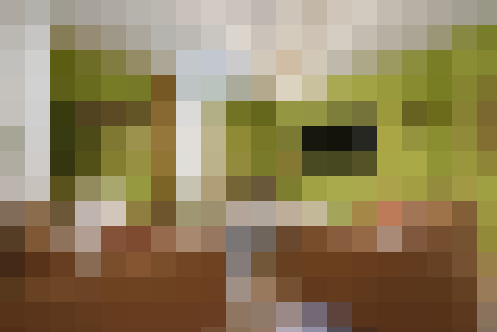  / #16