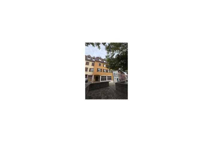 Voir la photo 1/5 du type apartment à Altkirch