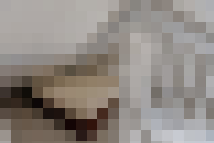  / #7