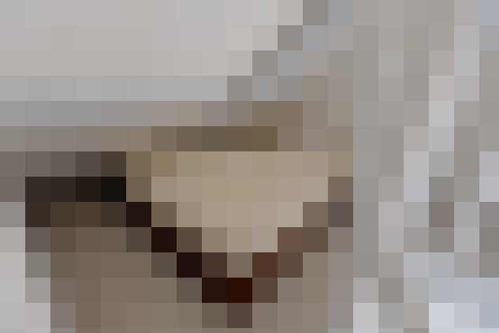  / #14