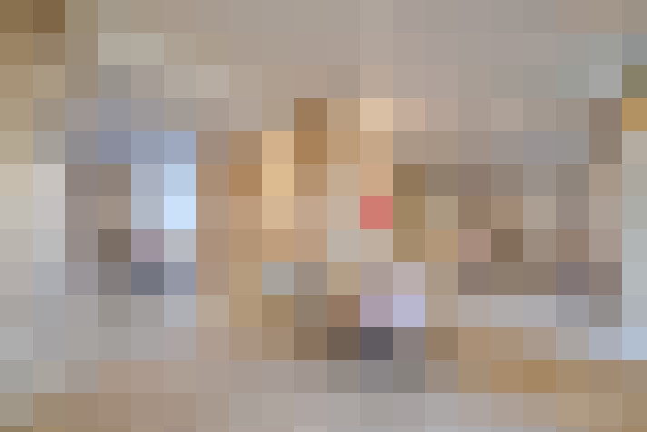  / #22