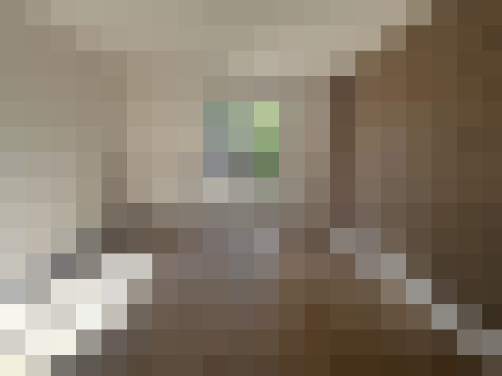  / #6