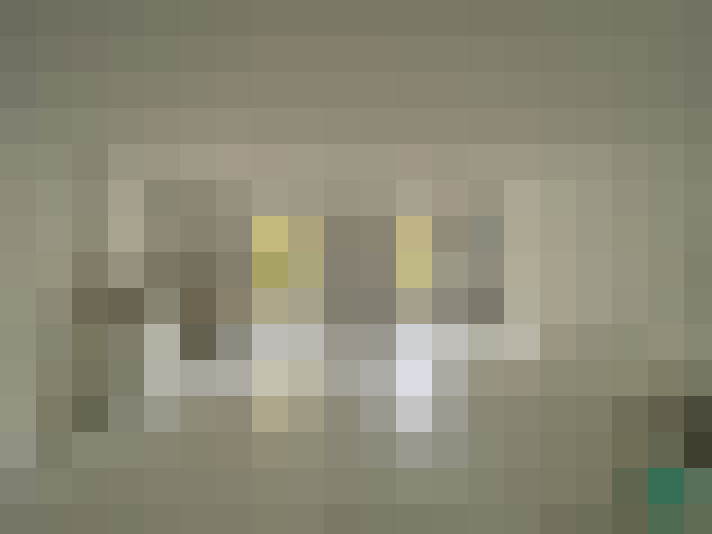  / #2