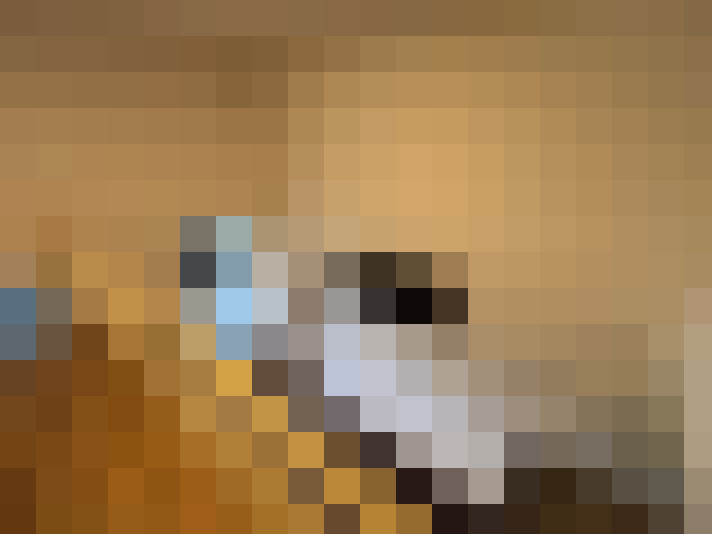  / #15