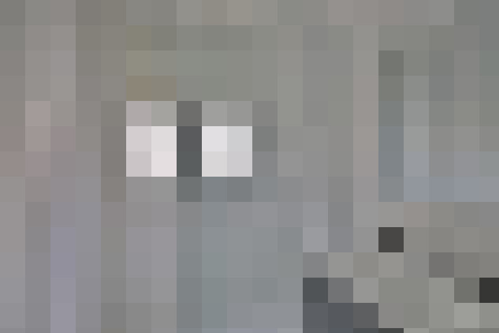  / #13