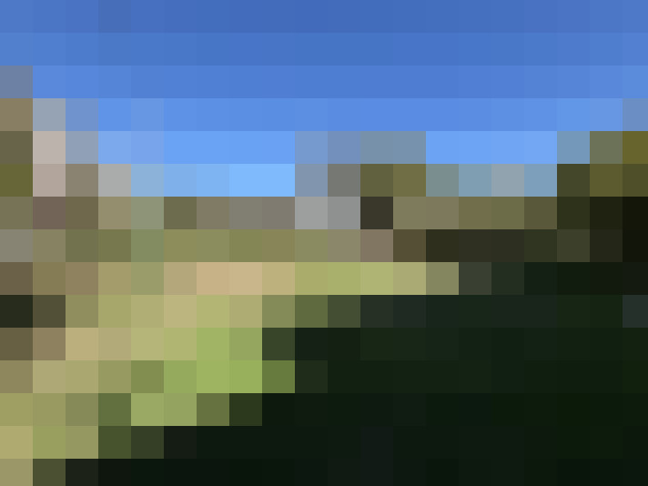  / #7