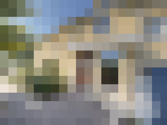  / #10