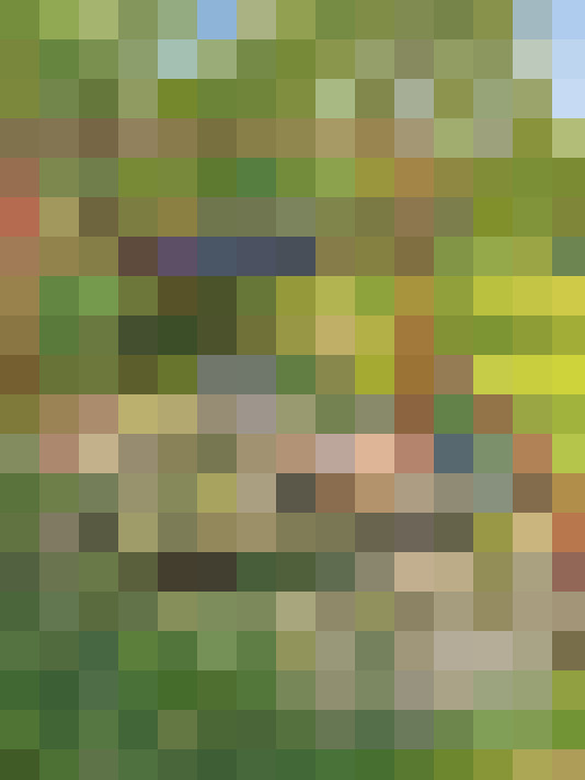  / #14