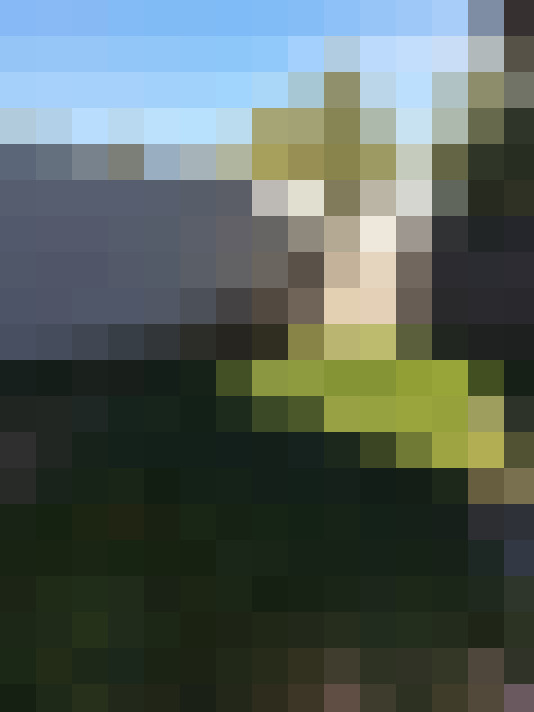  / #16