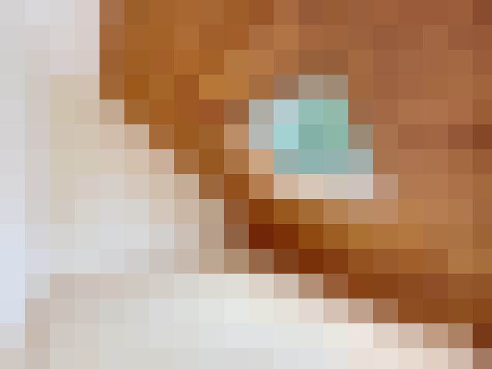  / #12