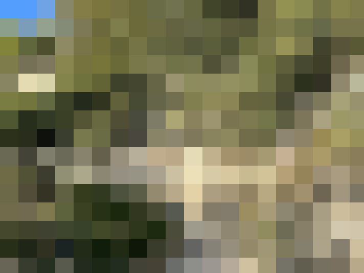  / #12