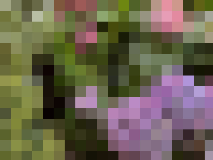  / #15