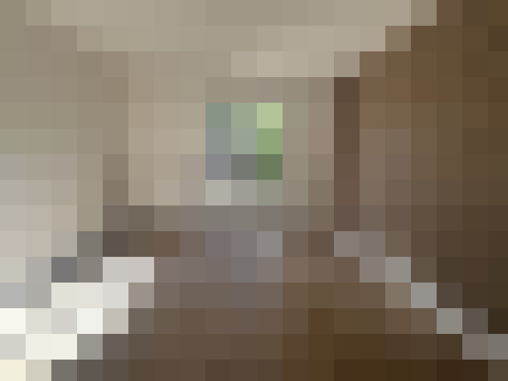  / #6