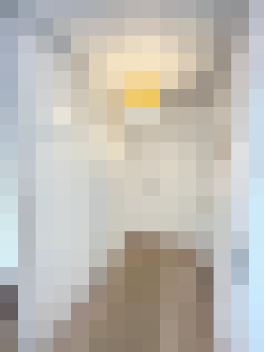  / #9