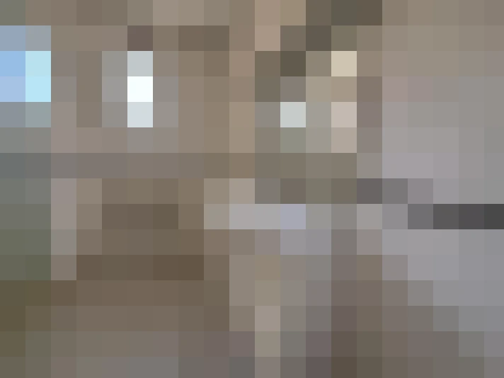  / #15