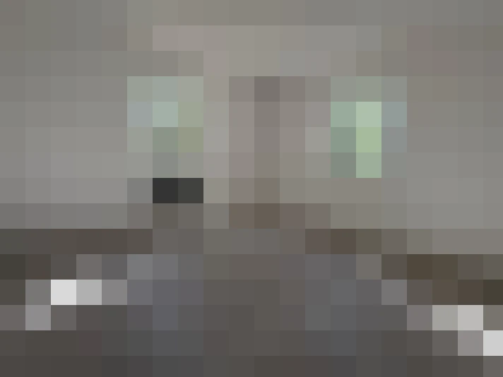  / #8