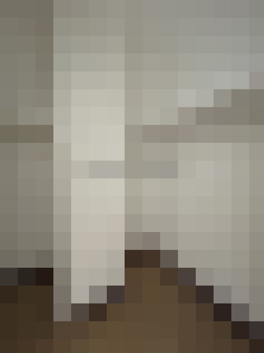  / #11