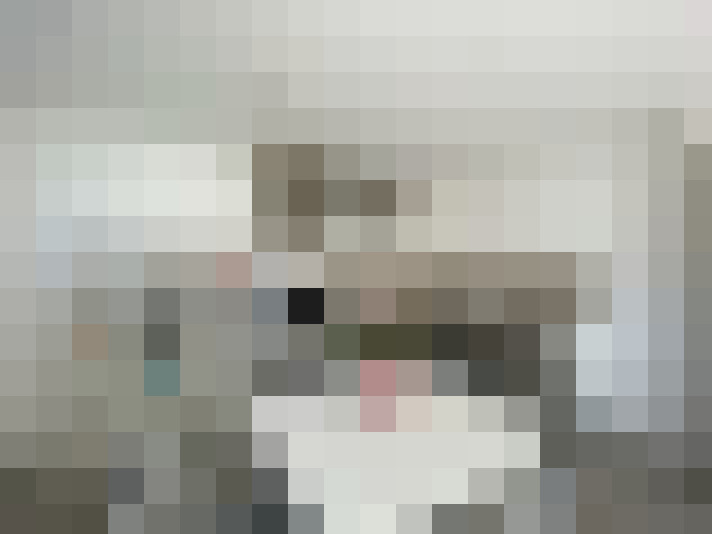  / #14