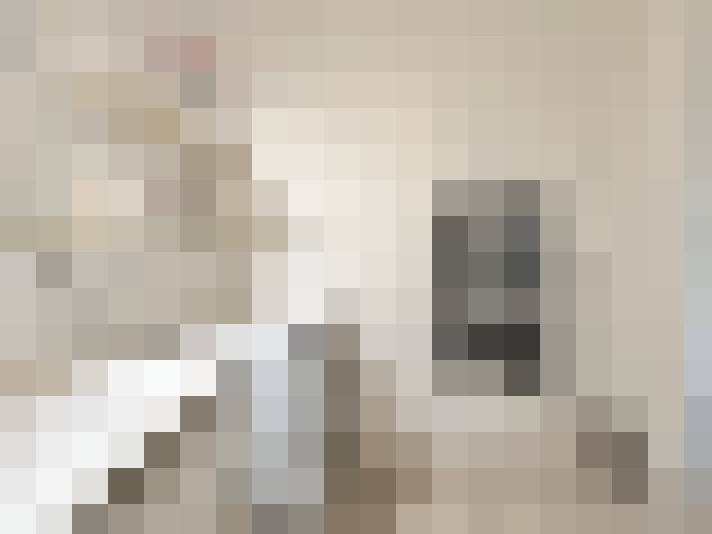  / #20