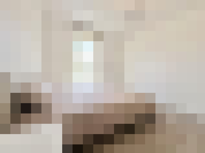  / #14
