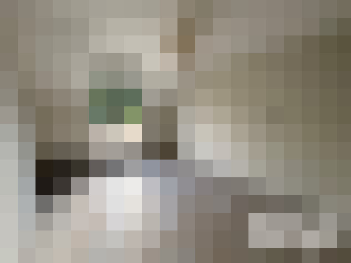  / #25