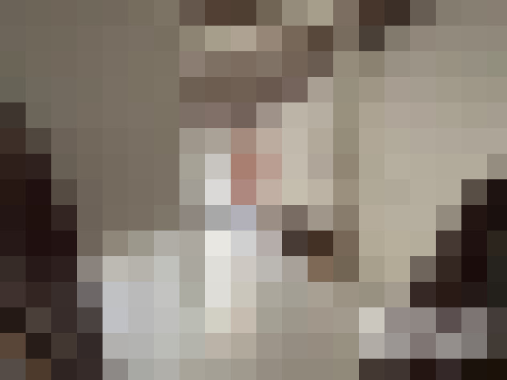  / #16