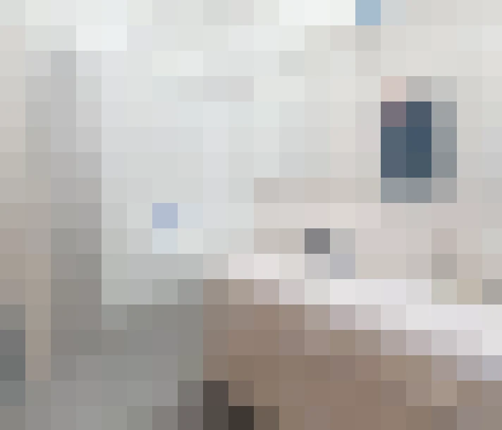  / #7