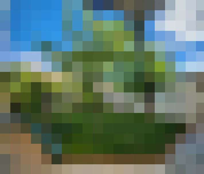  / #7