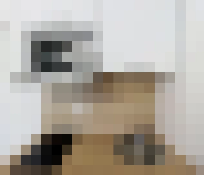  / #6
