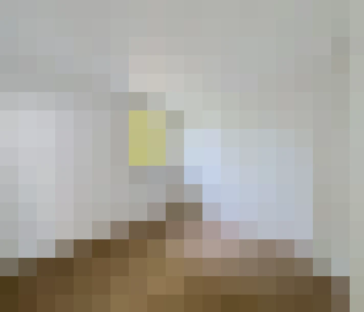  / #6