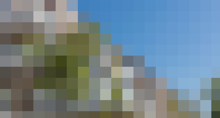  / #8