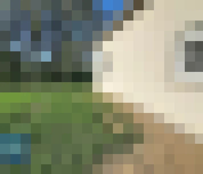  / #14