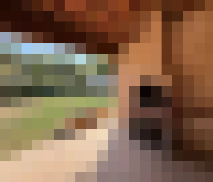  / #14