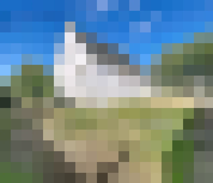  / #14