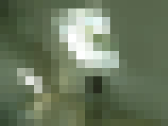  / #13