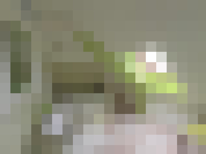  / #8
