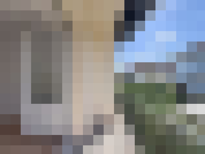  / #13