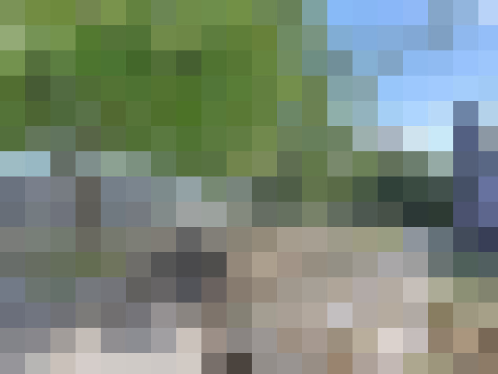  / #21