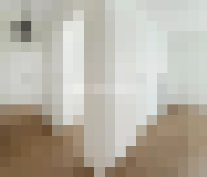  / #11