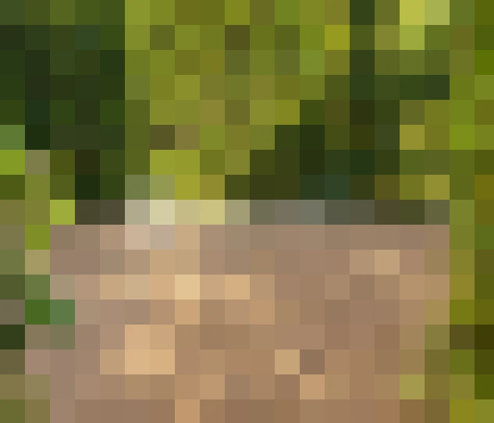  / #13
