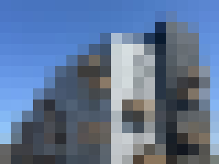  / #8