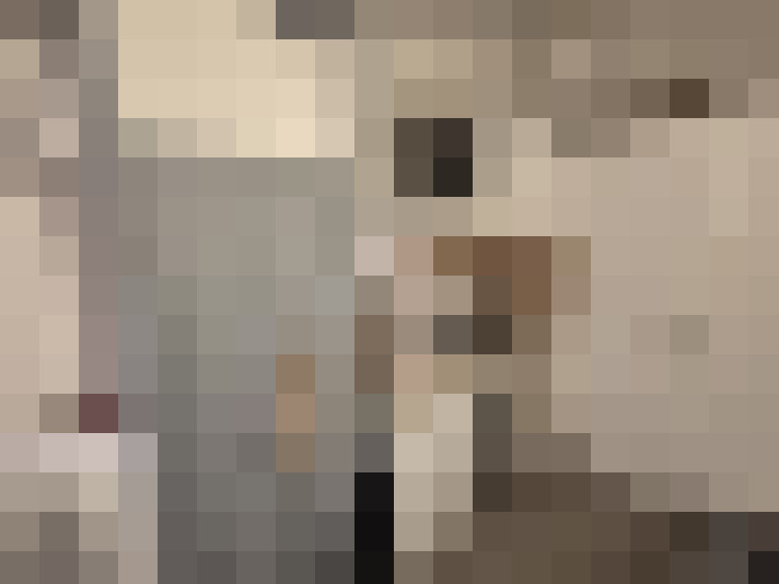  / #15